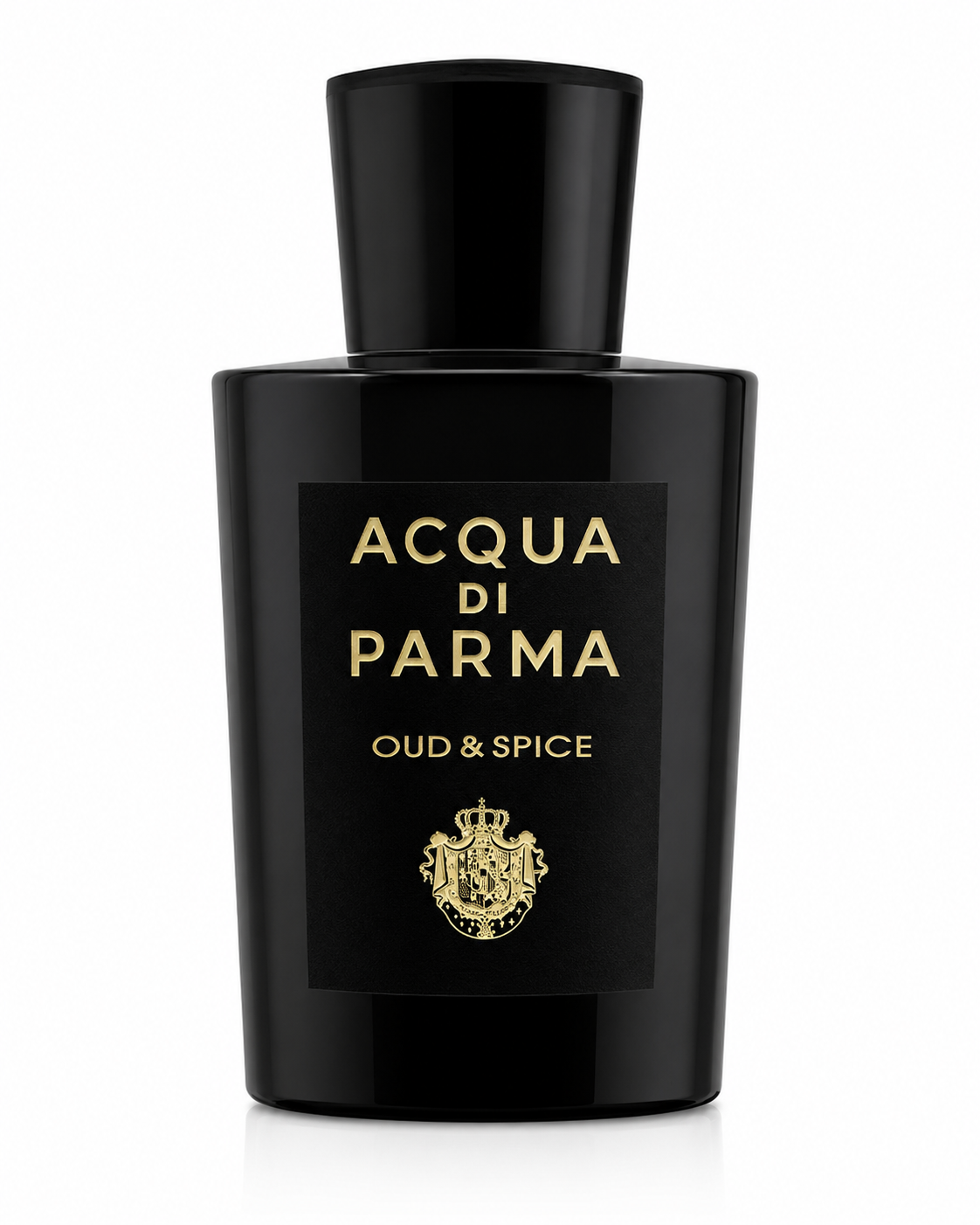 Acqua di Parma Signatures of the Sun Oud & Spice 100ml Eau de Parfum in a sleek black bottle with gold lettering, isolated on a pure white background.