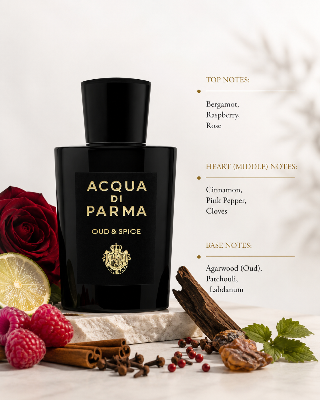 Acqua di Parma Signatures of the Sun Oud & Spice 100ml Eau de Parfum displayed with bergamot, rose, raspberry, cinnamon, oud and patchouli, highlighting its rich spicy woody fragrance.